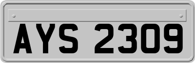 AYS2309