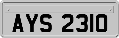 AYS2310