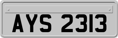 AYS2313