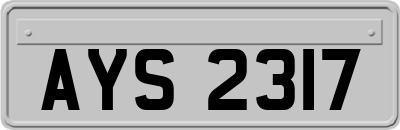AYS2317