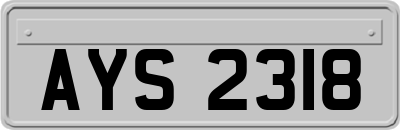 AYS2318