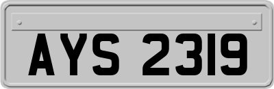 AYS2319