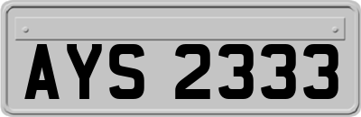 AYS2333