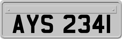 AYS2341