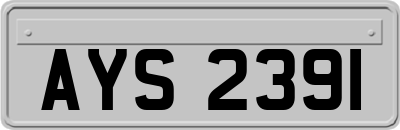 AYS2391