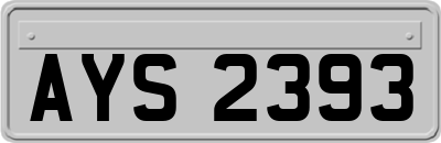 AYS2393