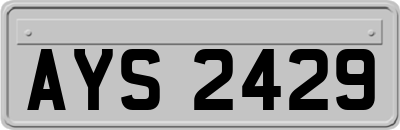 AYS2429