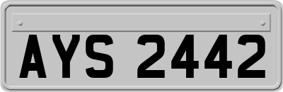 AYS2442