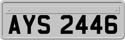 AYS2446