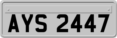 AYS2447