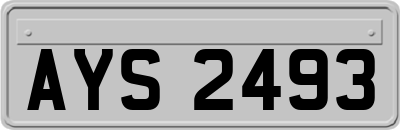 AYS2493