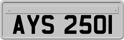 AYS2501