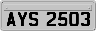 AYS2503