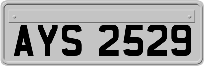 AYS2529