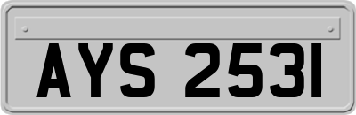 AYS2531