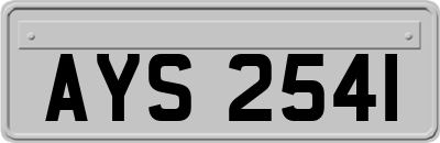 AYS2541