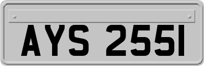 AYS2551