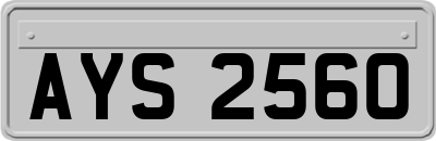 AYS2560