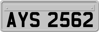 AYS2562