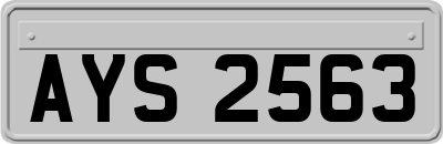 AYS2563