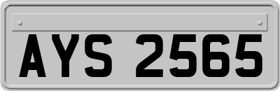 AYS2565