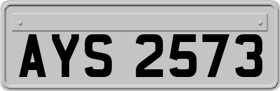 AYS2573