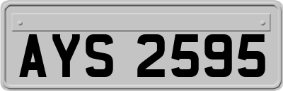 AYS2595
