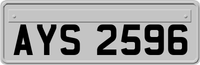 AYS2596