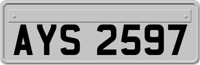 AYS2597