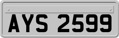 AYS2599