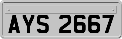 AYS2667
