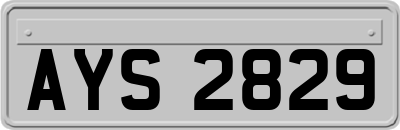 AYS2829