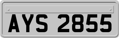 AYS2855