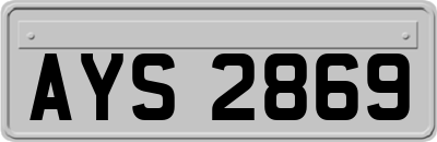 AYS2869