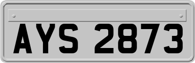 AYS2873