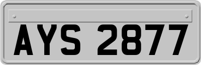 AYS2877