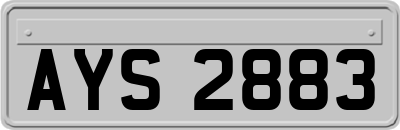 AYS2883