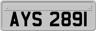 AYS2891
