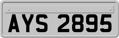 AYS2895