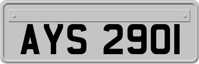 AYS2901