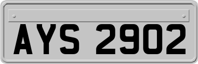 AYS2902