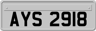 AYS2918