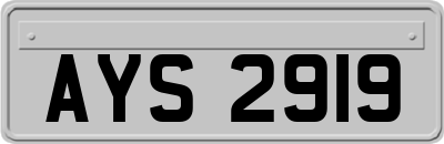 AYS2919