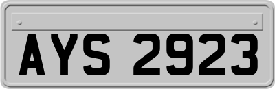 AYS2923