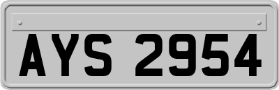 AYS2954