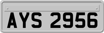 AYS2956