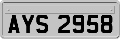 AYS2958