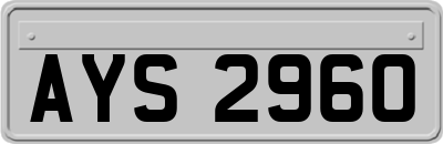 AYS2960