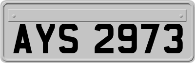 AYS2973