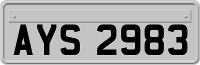AYS2983